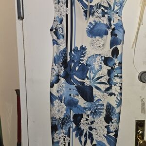 Floral Blue and White Dress